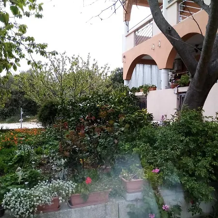 Vanja Skara Biograd * 比奥格勒·纳·莫鲁