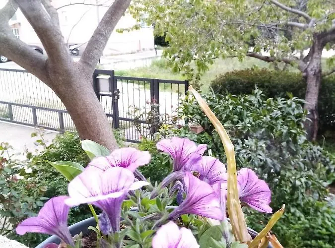 Vanja Skara Biograd Διαμέρισμα Biograd Na Moru