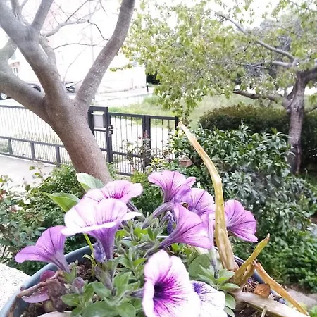 Vanja Skara Biograd Апартаменты Биоград-на-Мору