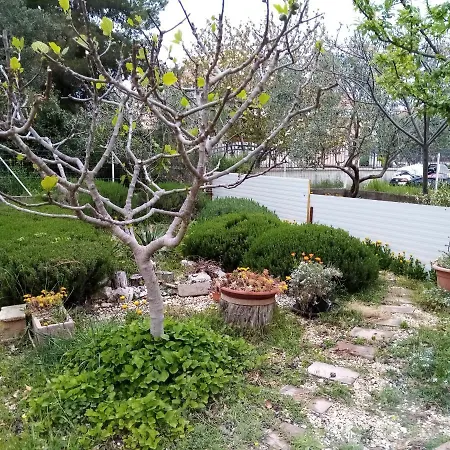 Vanja Skara Biograd Апартаменты *