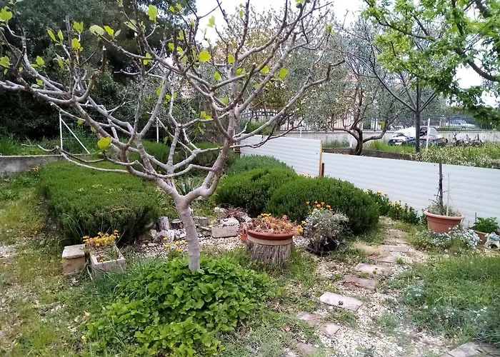 Vanja Skara Biograd Апартаменты *